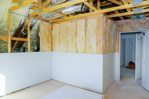 Best DIY Insulation Kits and Guidance in Radcliff, KY